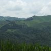 Straw Hat - Image 5