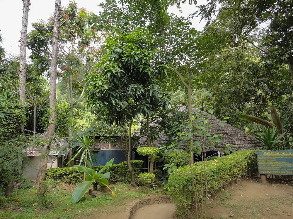 marangu village