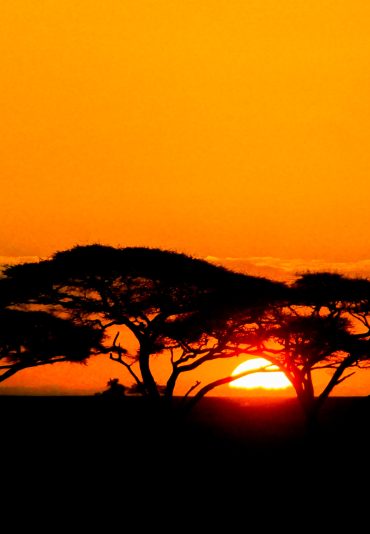 sunset in serengeti